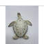Tortue Penn-186037844