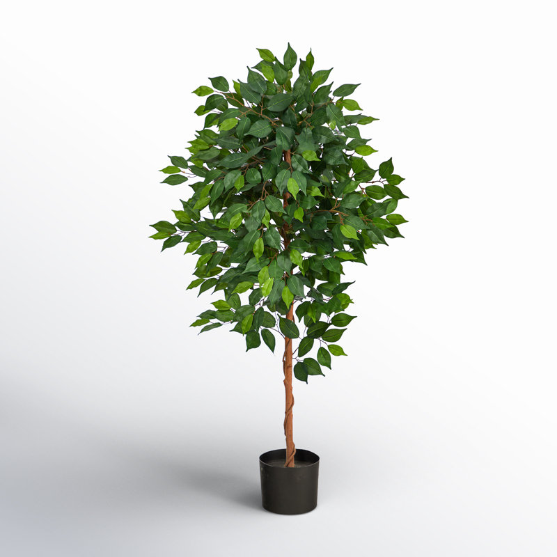 Faux Ficus Tree in Planter, 48" H x 25" W x 12" D
