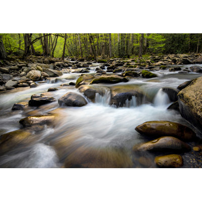 Spring on Porters Creek by Danny Head - Photograph