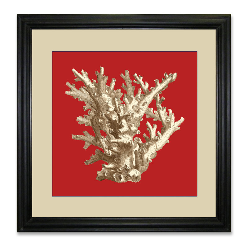Coral On Red I - Single Picture Frame Print