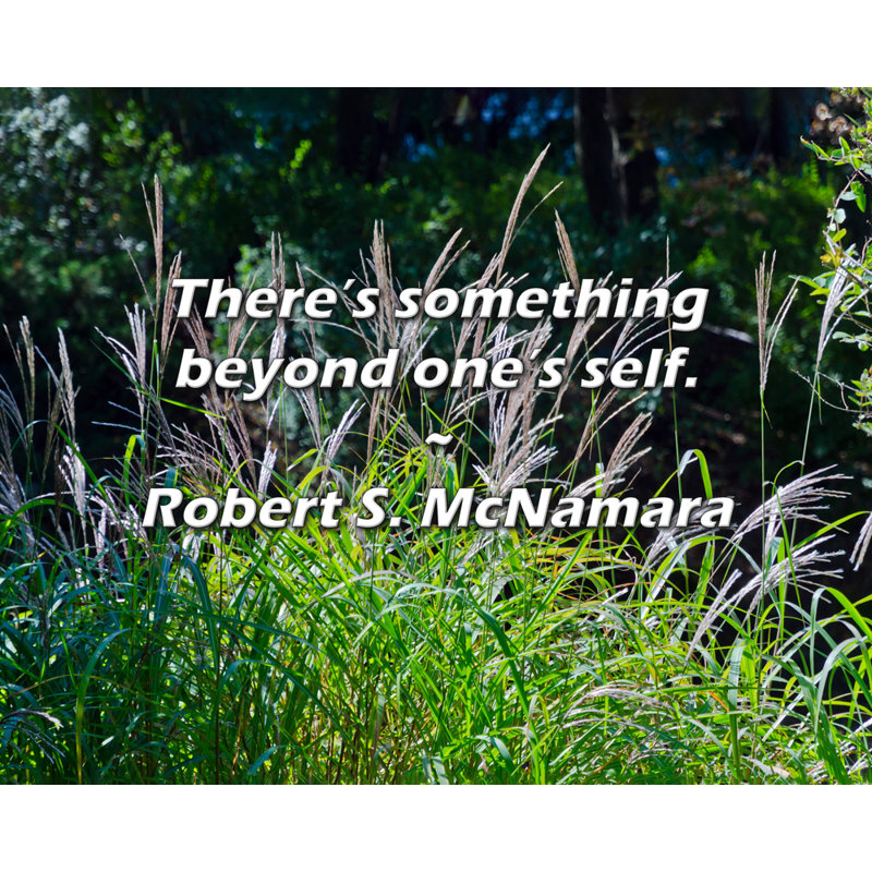 Robert S. McNamara Citation: Il y a quelque chose au-delà de soi.