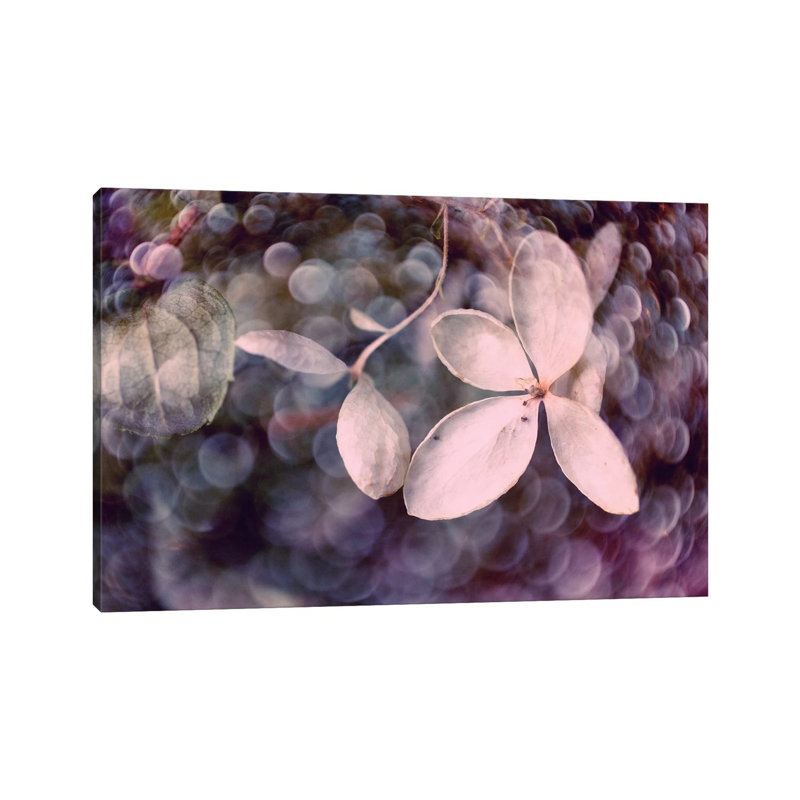 Purple Hydrangea by Judy Stalus - Wrapped Canvas Print, 20.32 cm H x 30.48 cm W