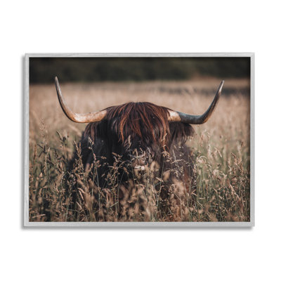 Highland, bovin dans les hautes herbes, encadré sur bois par Lil 'Rue, photographie