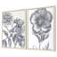 Belle Fleur II S/2 Print by Schlabach