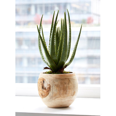 Table Vase 1