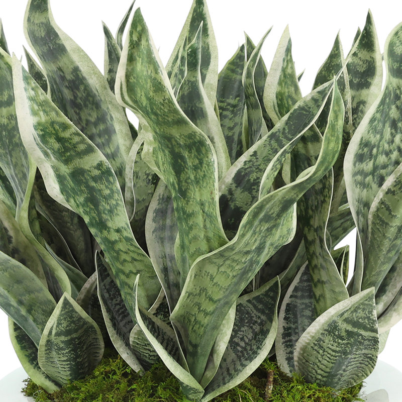Faux Sansevieria Plant in Fiberstone Planter