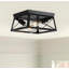 2-light Black Finished Cage Classic Modern Dimmable Flush Mount Light