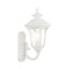 Lanterne murale d'extérieur en verre Arelene-1418612961-1458019313