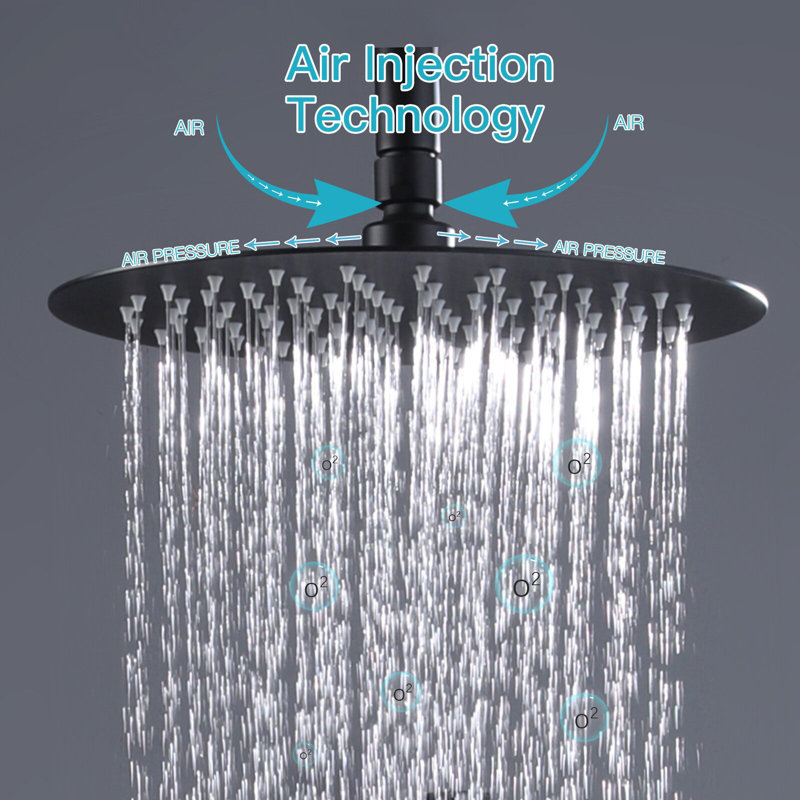 Adjustable Rain Shower 1.5 GPM GPM, Matte Black
