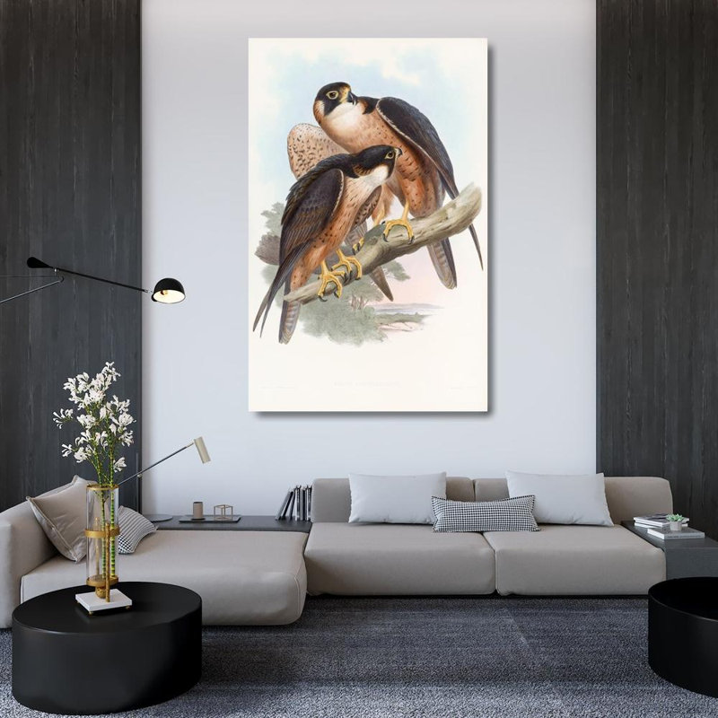 "Shaheen Falcon" par John Gould - Art mural sur toile tendue avec châssis, H 48 po x l 33 po