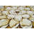 Pettingill Floral Indoor Rug-2049645059