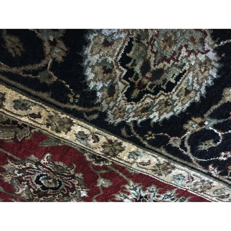 Dharma Oriental Area Rug in Red/Black