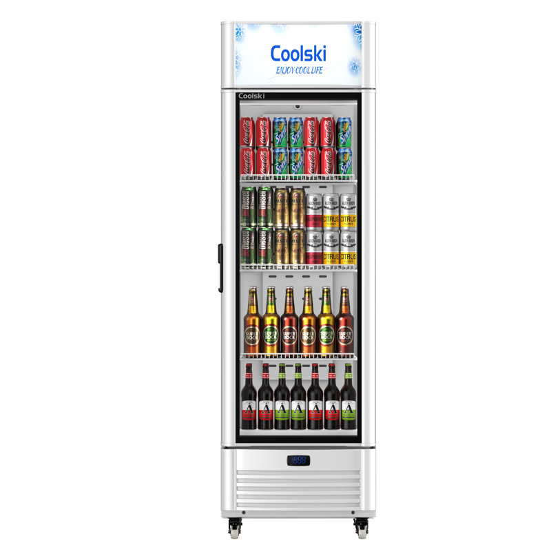 6,5 pieds cubes Réfrigérateur à boissons commercial avec porte vitrée avec éclairage à DEL et tablettes réglables, réfrigérateur à boissons pour boissons, boissons gazeuses, bière