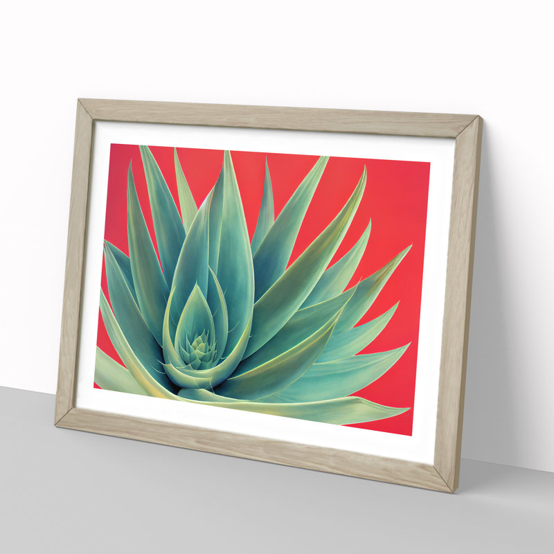 Spellbinding Aloe Vera Plant - Framed Print, 46cm H x 64cm W, Oak Frame