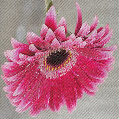 Selen Indoor Rug