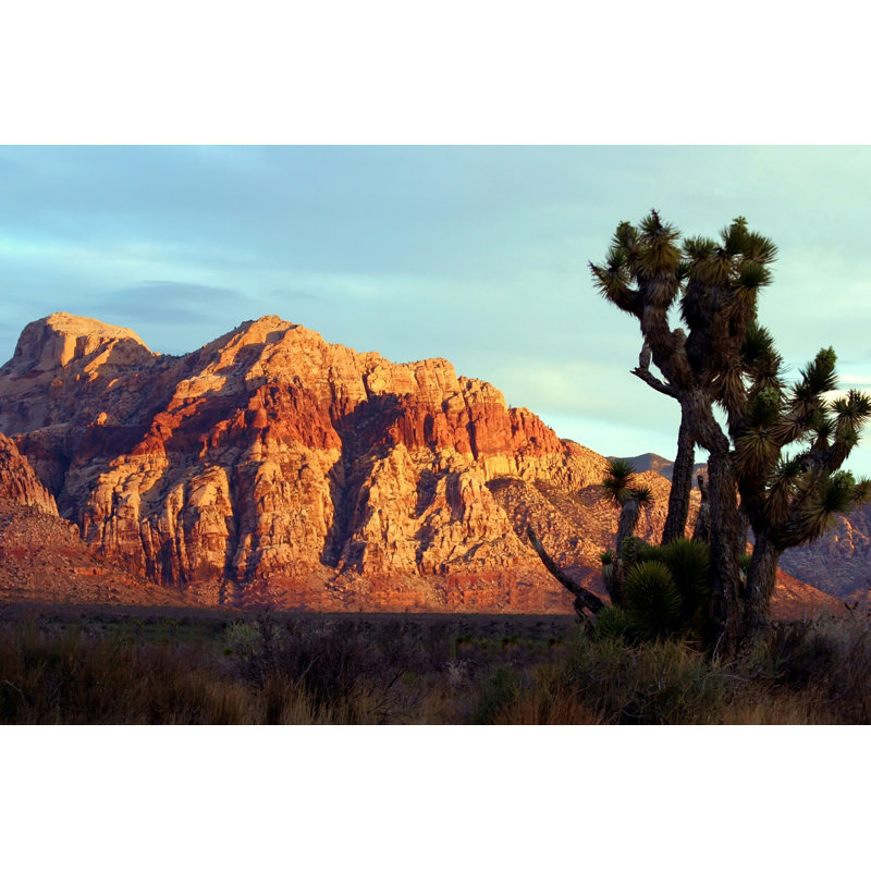 Red Rock Canyon - Photographie sur toile tendue, H 32 po x l 48 po