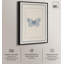 Décoration murale nature "Blue Butterfly I" par -928911947-928911938