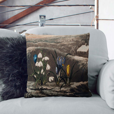 Square Cushion