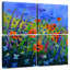 Fleurs de jardin Harnek