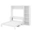Lit escamotable double avec bureau et bibliothèque-863306185-863306186