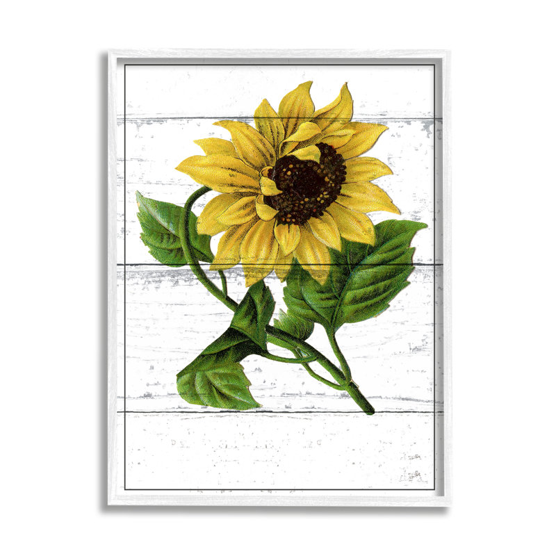 «Rustic Sunflower Blossom cmw-113», art mural personnalisé, Estampe numérique encadrée blanc bord de mer, H 14 po x l 11 po