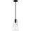 Wier 1-Light Matte Black Mini Pendant