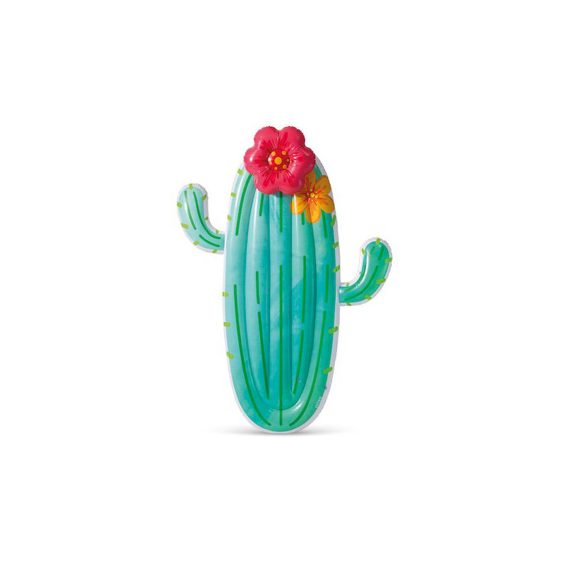 Flotteur Intex Cactus