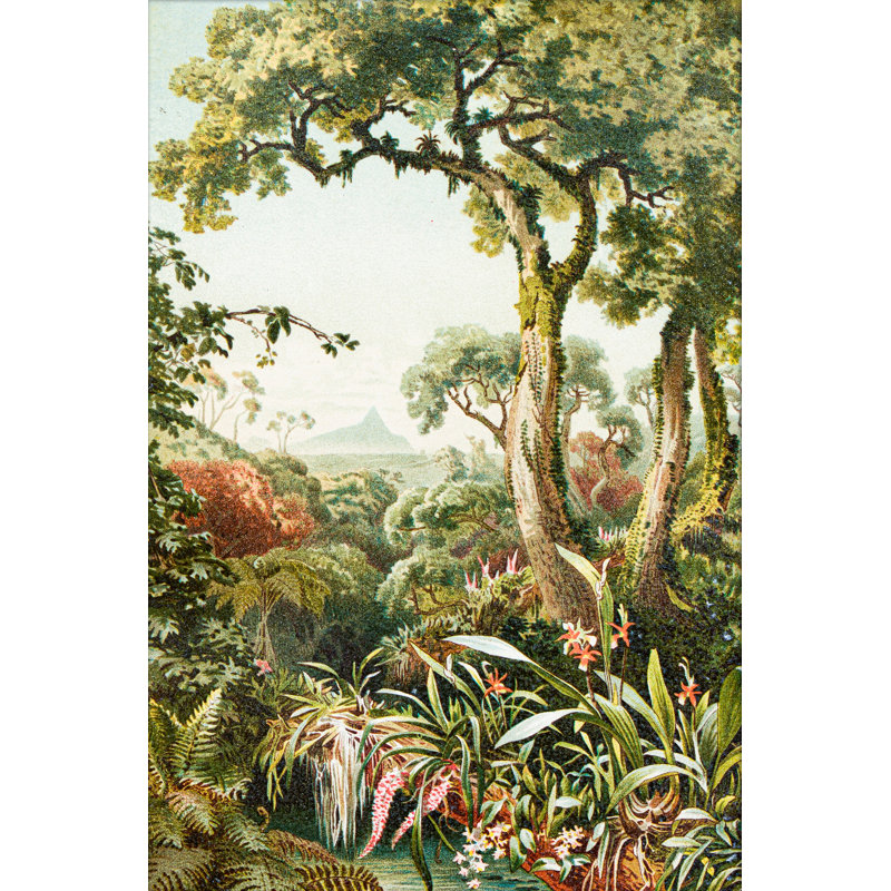 Royal Tropical Forest - Print, 34.1cm H x 46.4cm W x 1cm D, Natural Oak Framed
