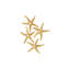 4 Piece Starfish Wall Décor Set-369482677