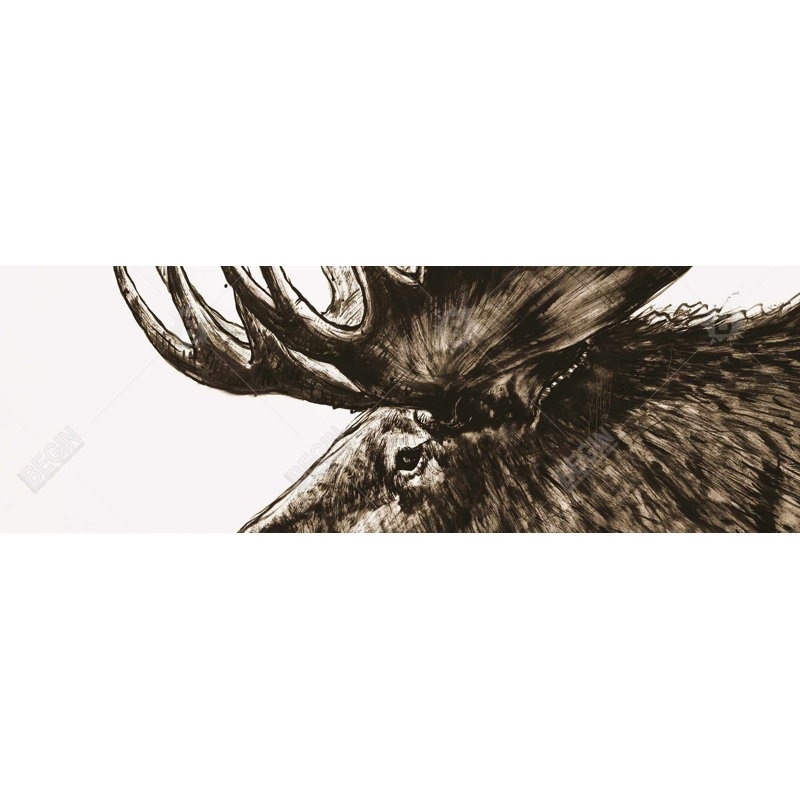 "Moose Plume sépia" sur toile