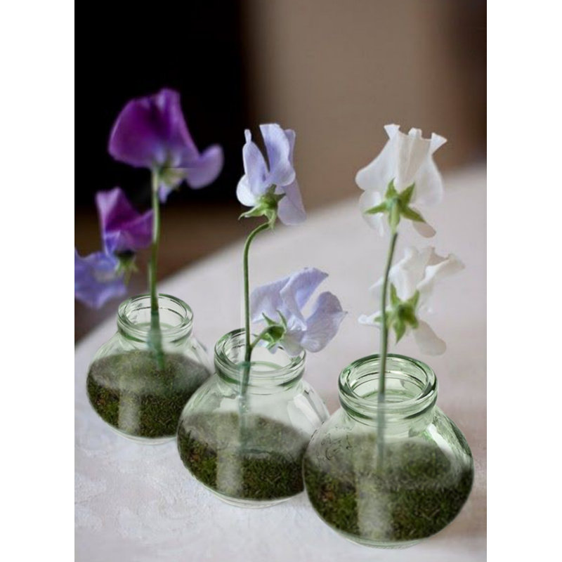 Pecic Green Indoor / Outdoor Glass Table Vase Set, 6