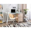 Thao Glass Top Metal Base Writing Desk