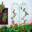 Barrière de jardin, treillis de jardin en métal antirouille pour les plantes grimpantes