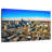 Sireci Houston Cityscape View