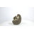 Mother and Baby Hedgehogs on Back