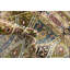 Tapis traditionnel Kelayeh couleur jardin
