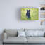 Art mural sur toile tendue - Art mural Rick Berk «Black Bear Cub In the Sun» pour le salon, la chambre à coucher ou le bureau - 22 x 32