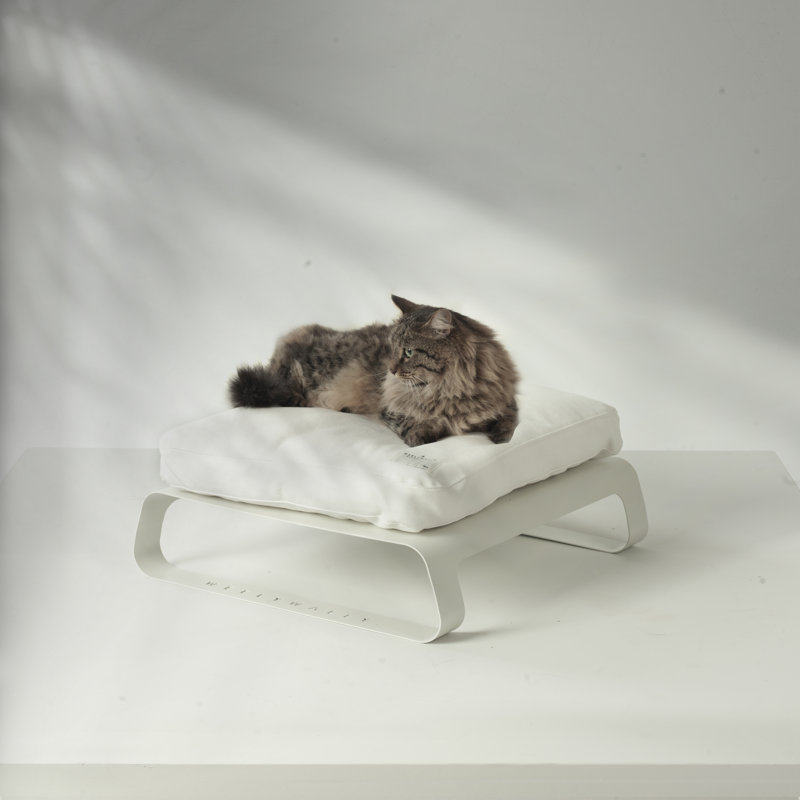 Coaling Orthopedic Cotton Elevated Pet Bed, White
