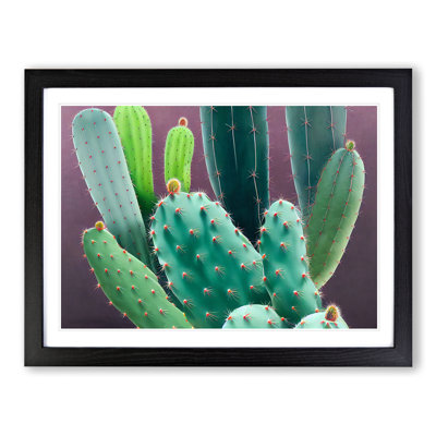XH1022-10305X Wonderful Cactus - Single Picture Frame Print