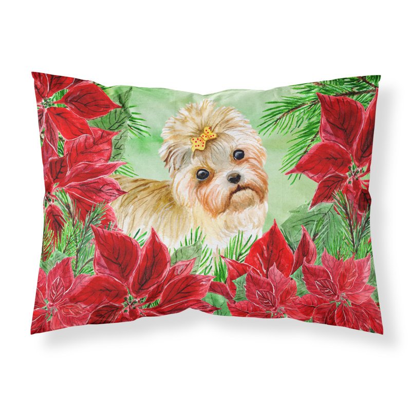 Microfiber, Morkie