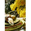 Serviettes Sebring - Vert et jaune - 19 po x 19 po -559451752
