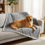 Couvertures pour chien