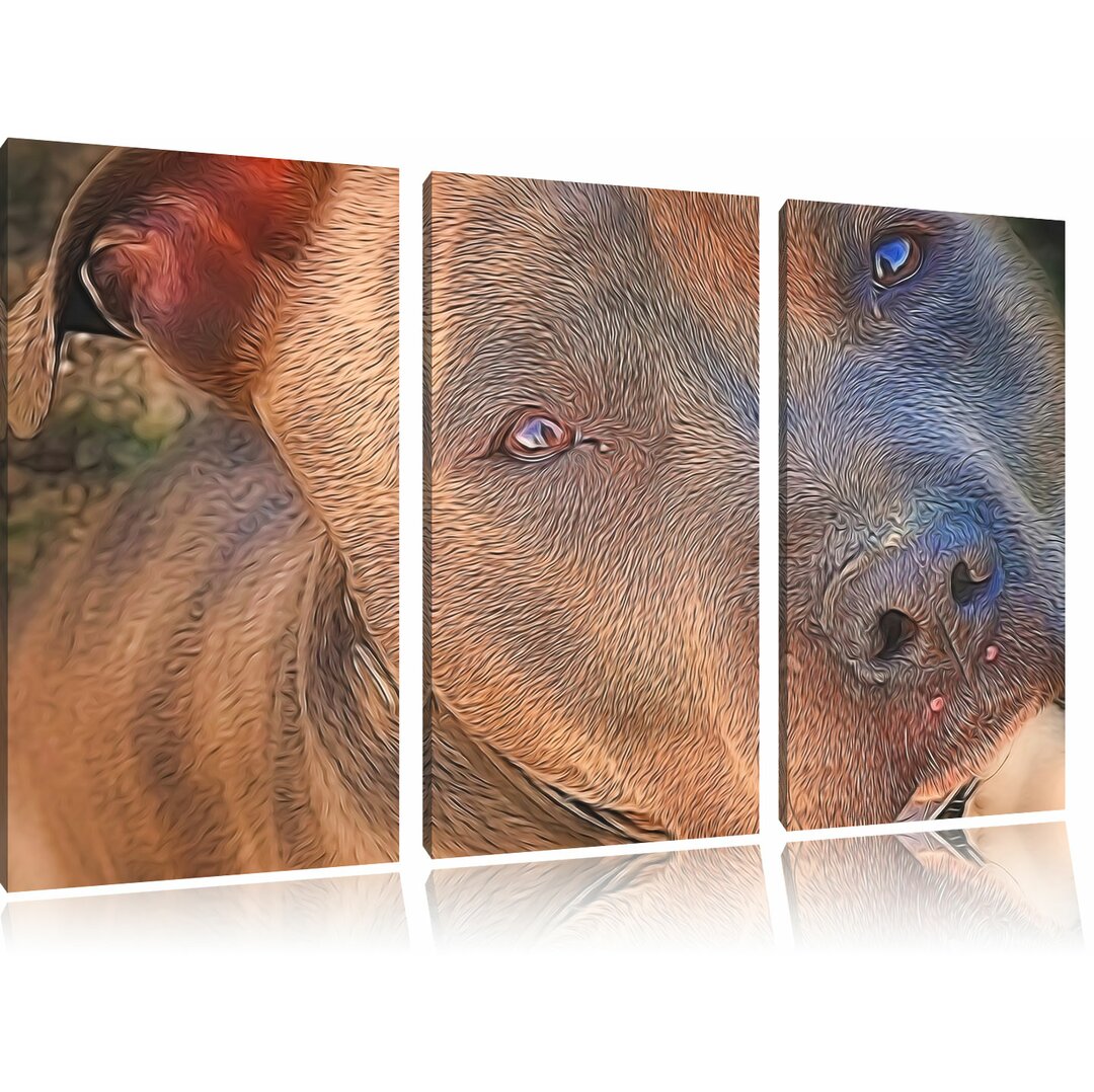 3-tlg. Leinwandbilder-Set Schöner Pit-Bull-Terrier, Grafikdruck