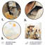 «Gold Rush Cowboys Portrait» - art mural en métal Cowboys-930263284
