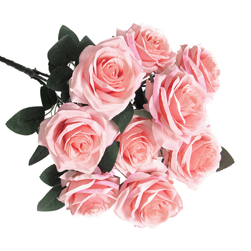 Grand rosier Jaafer Deluxe, Rosé
