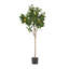 Citronnier artificiel 59 "