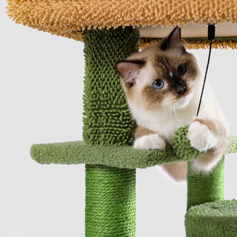 Faleshia 35.6'' H Cat Tree