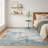 Machine Washable Indoor/Outdoor Chantille ACN2767 Modern Rug-778900981-778900989