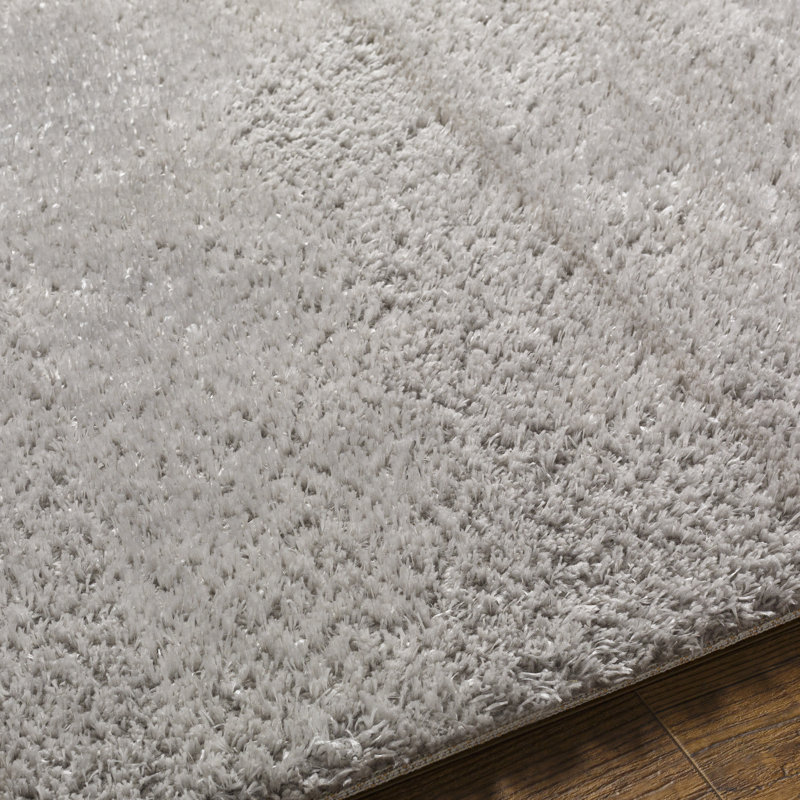 Tapis uni à poils longs - Basics by Wayfair ™, Rectangle 7 pi 10 po x 10 pi, Silver