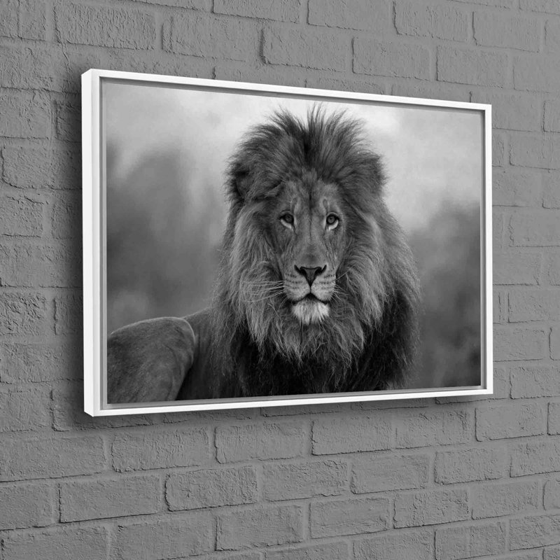 Print on Canvas, White, Framed Print without Mat, 60 cm H x 90 cm W